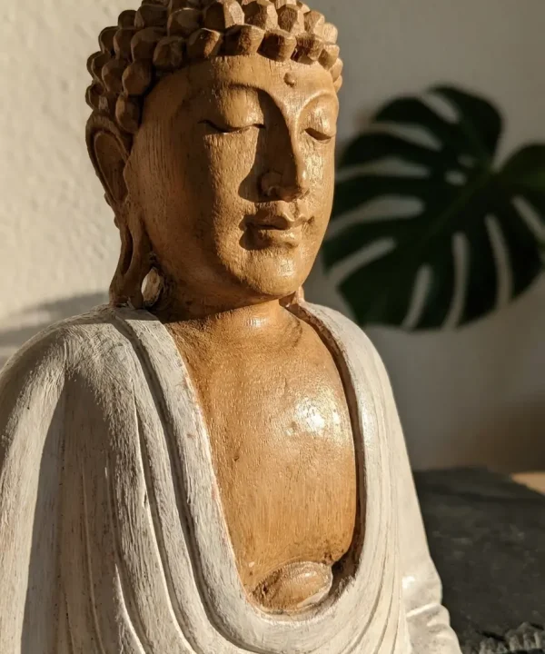 Statue Bouddha méditative en bois de suar sculptée main bicolore, robes blanches patinées