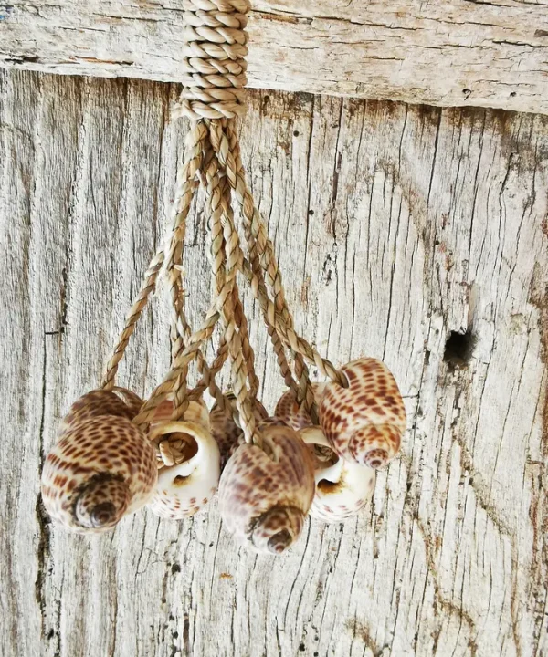 Mini-suspension artisanale macramé avec coquillages marins naturels bruns.