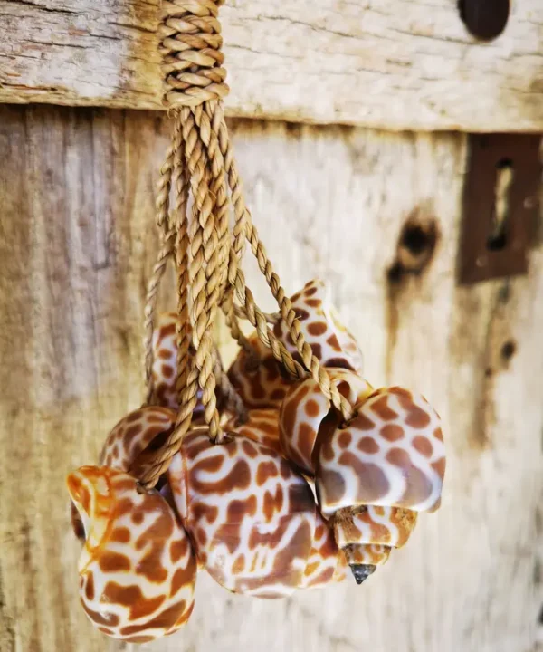 Mini-suspension artisanale macramé avec coquillages marins naturels bruns.