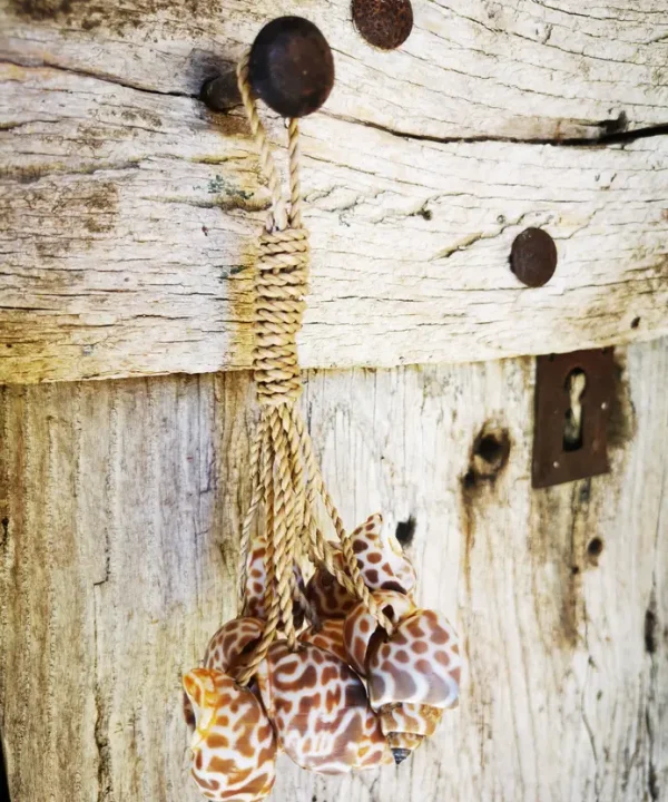 Mini-suspension artisanale macramé avec coquillages marins naturels bruns.