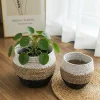 Ensemble de paniers ronds tricolores en jonc de mer, rangement et cache-pot naturel.