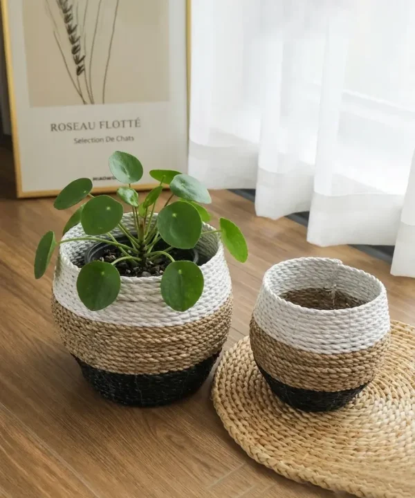 Ensemble de paniers ronds tricolores en jonc de mer, rangement et cache-pot naturel.